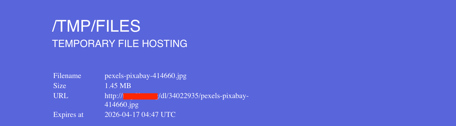 典型文件分享工具的长 URL 截图，展示了在不同设备上手动输入的难度。